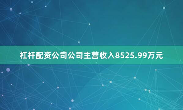 杠杆配资公司公司主营收入8525.99万元