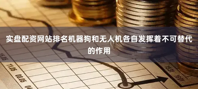 实盘配资网站排名机器狗和无人机各自发挥着不可替代的作用