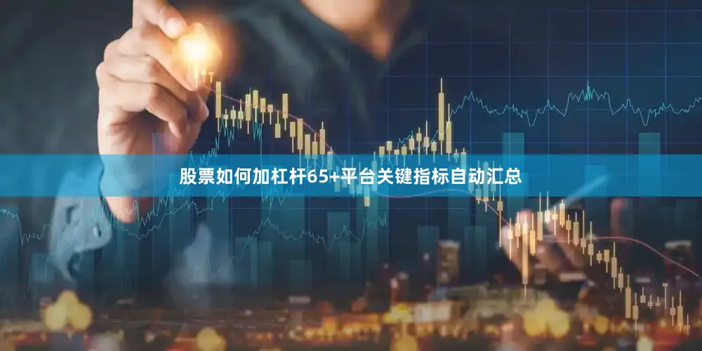 股票如何加杠杆65+平台关键指标自动汇总