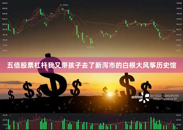 五倍股票杠杆我又带孩子去了新泻市的白根大风筝历史馆